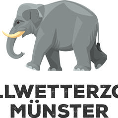 Illustration eines grauen Elefanten neben dem Text „Allwetterzoo Münster“ in großen, schwarzen Buchstaben.