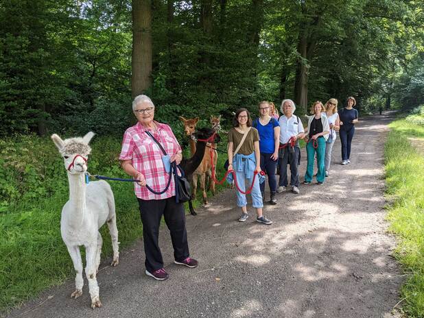 Gruppe von Menschen mit Alpakas an Leinen, die auf einem Waldweg stehen, umgeben von Bäumen und Grün.